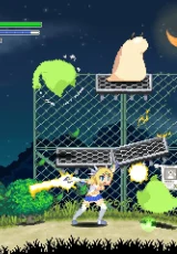 Echidna Wars DX 1