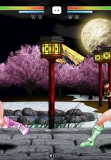 Strip Fighter 5: Chimpocon Edition 3
