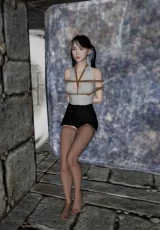 Dungeon Girl 1
