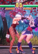 Fight Angel Special Edition 2