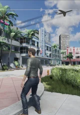 Miami Paradise 0