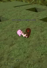 Tower Labyrinth Reinca 1