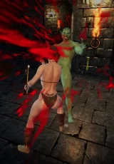 The Last Barbarian 0
