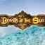 Прохождение игры Beasts in the Sun