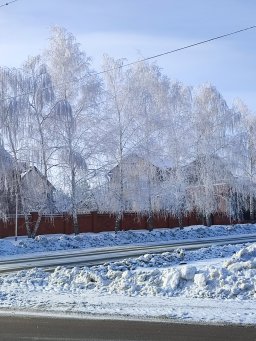 НедоГигачад НедоГигачад